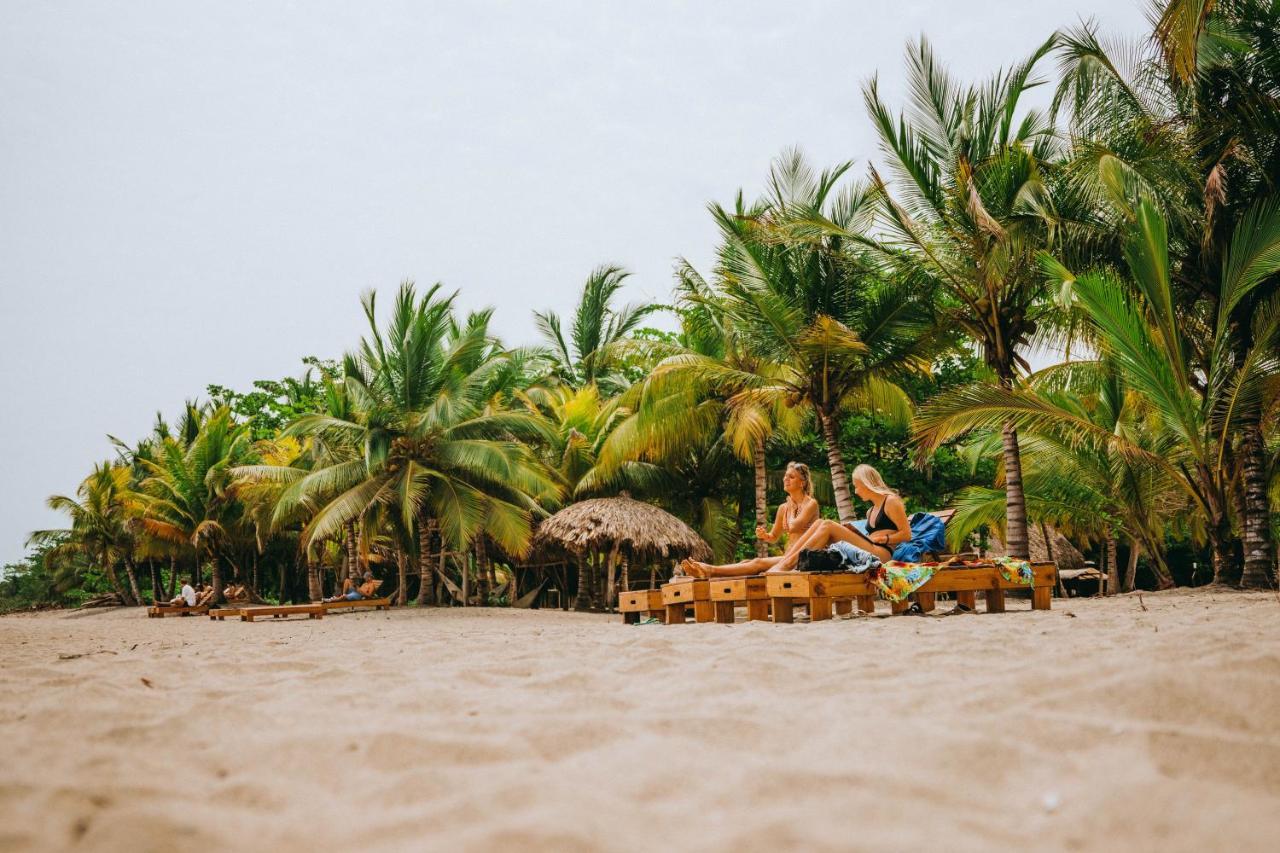 Viajero Tayrona Hostel & Ecohabs ブリタカ エクステリア 写真