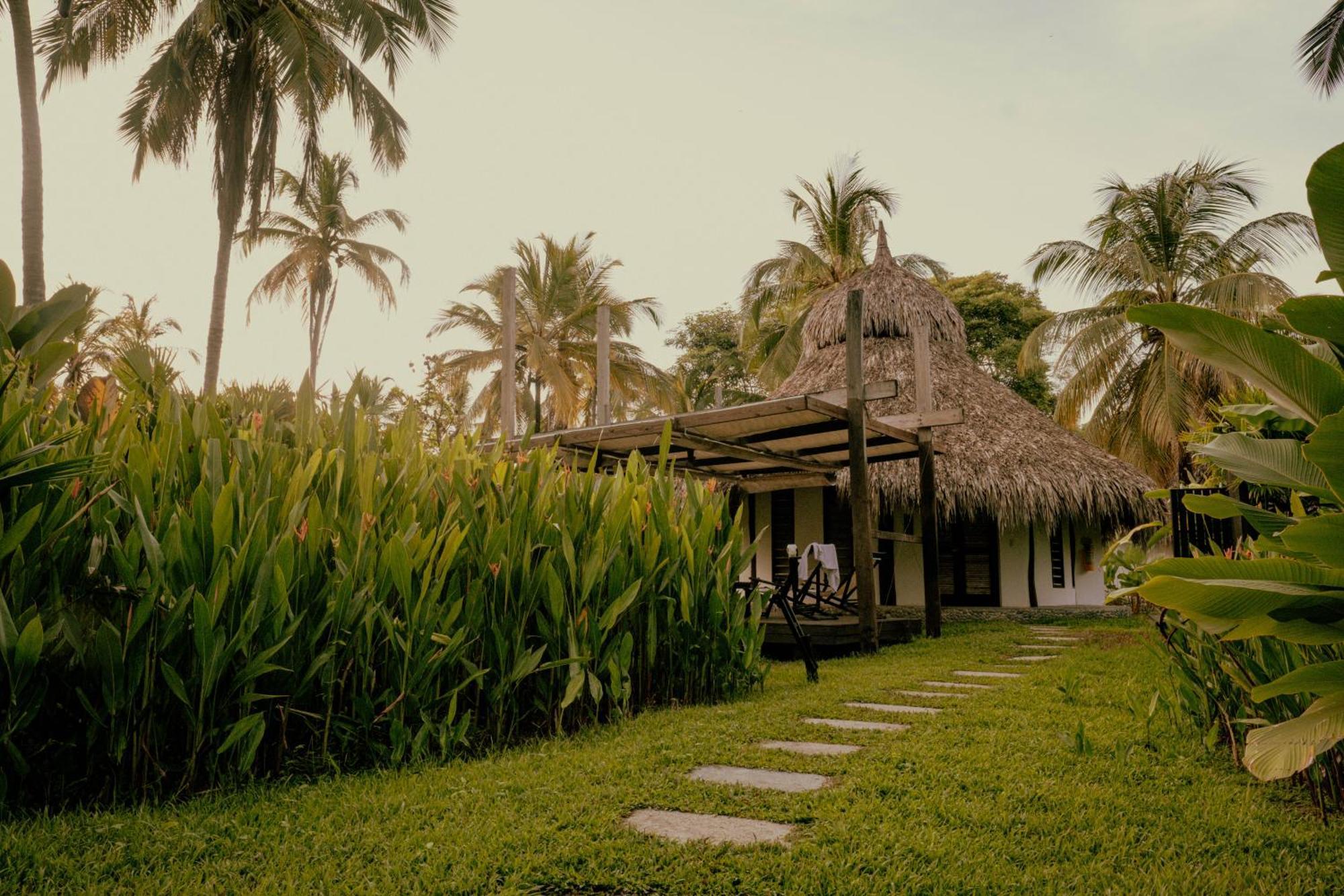 Viajero Tayrona Hostel & Ecohabs ブリタカ エクステリア 写真