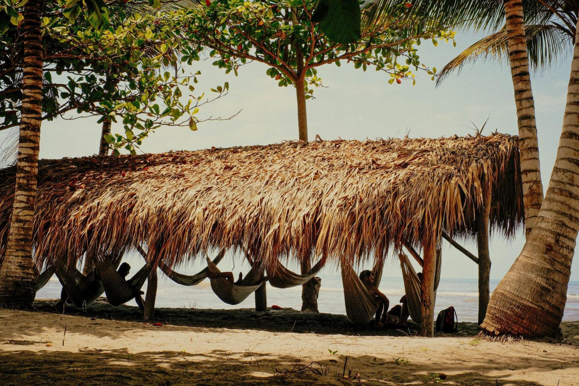 Viajero Tayrona Hostel & Ecohabs ブリタカ エクステリア 写真